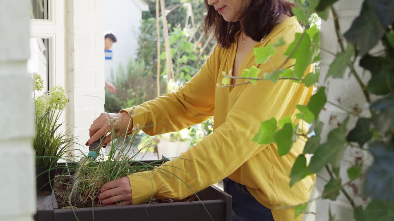 成熟的亚洲妇女种植木质容器前景，在夏季花园，而她的丈夫绑花在花园藤条后面-拍摄的慢镜头视频素材