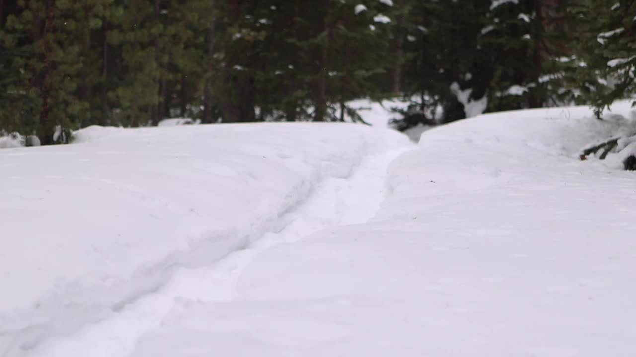 徒步旅行者在科罗拉多州的深雪中行走视频素材