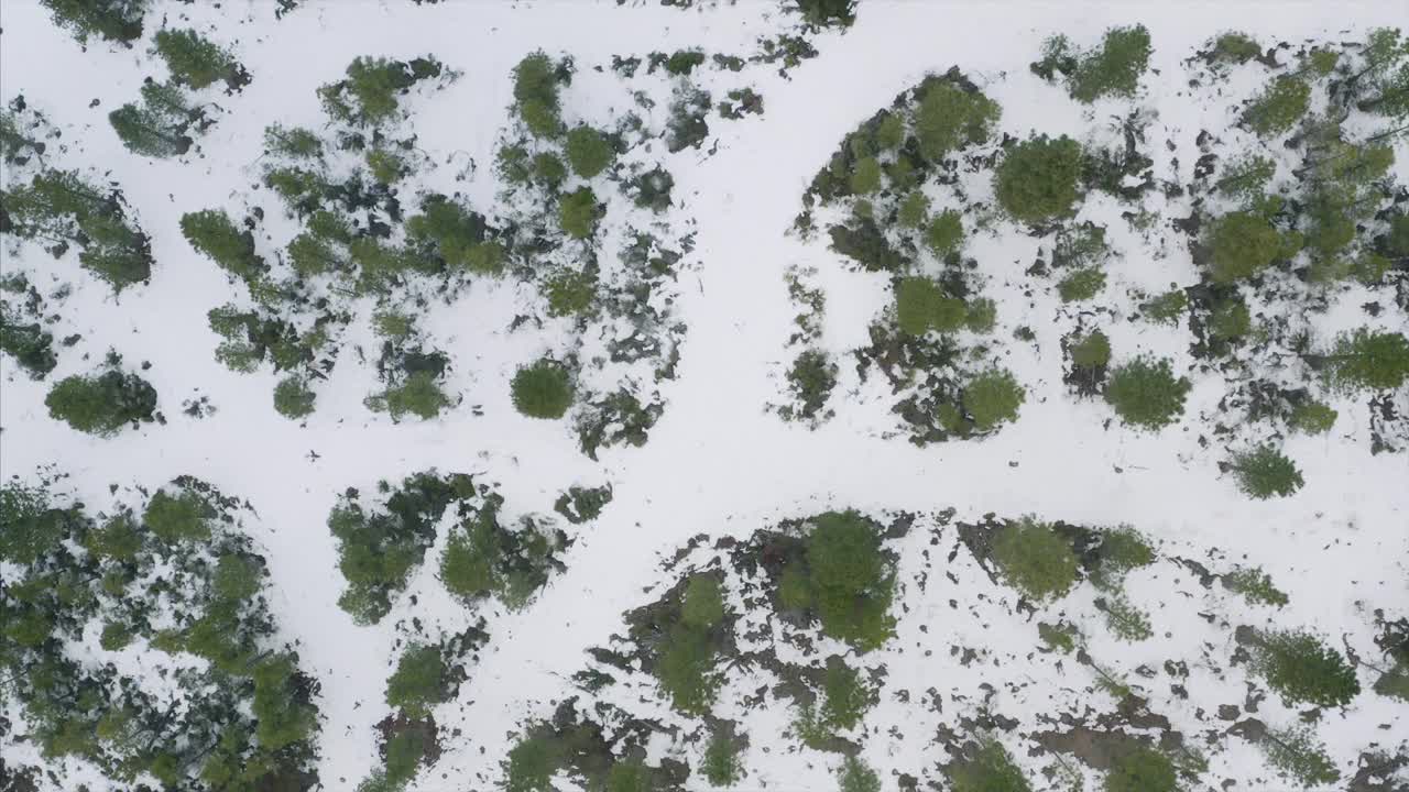 山沙斯塔冬季雪森林种植园加利福尼亚无人机鸟瞰图视频素材