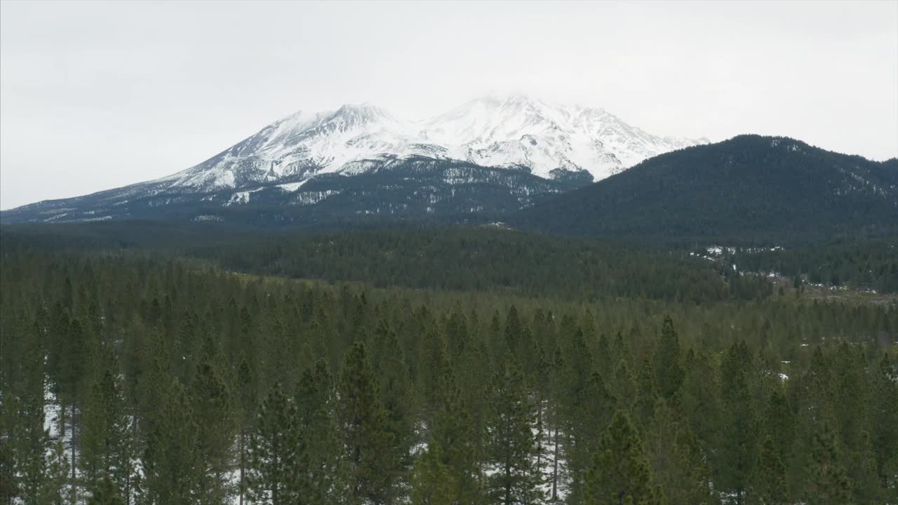 山沙斯塔冬季雪森林种植园加利福尼亚无人机鸟瞰图视频素材