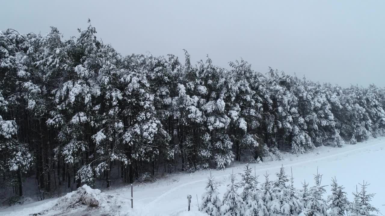 冬季雪森林风景密歇根无人机鸟瞰图视频素材