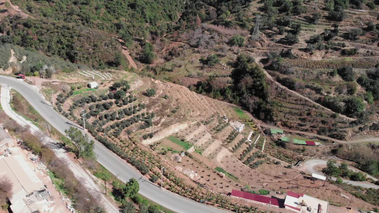 土耳其阿兰亚的香蕉种植园。山坡上种植的种植园，无人机拍摄视频素材