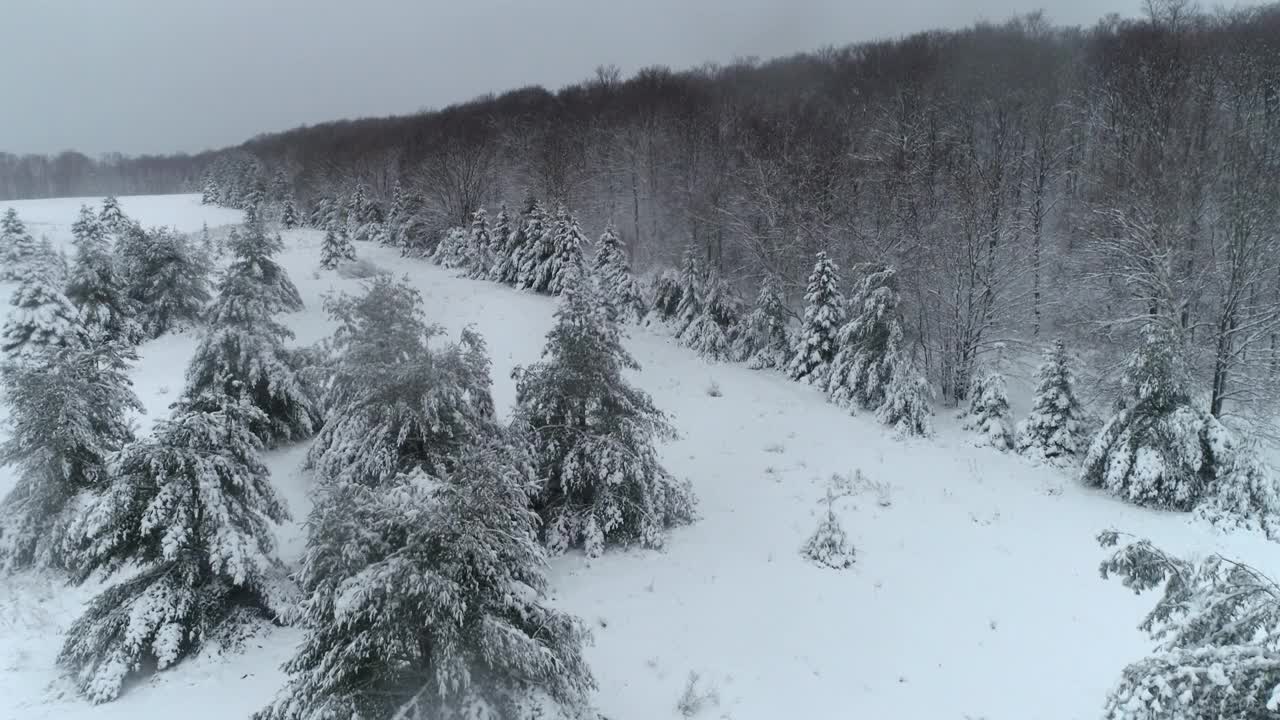 冬季雪森林风景密歇根无人机鸟瞰图视频素材