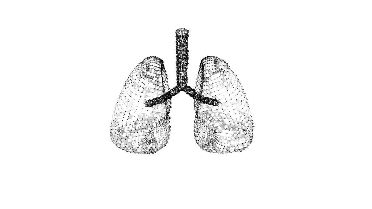 人肺有气管、支气管等内脏器官。肺医学科学技术概念。线框低多边形网格视频素材
