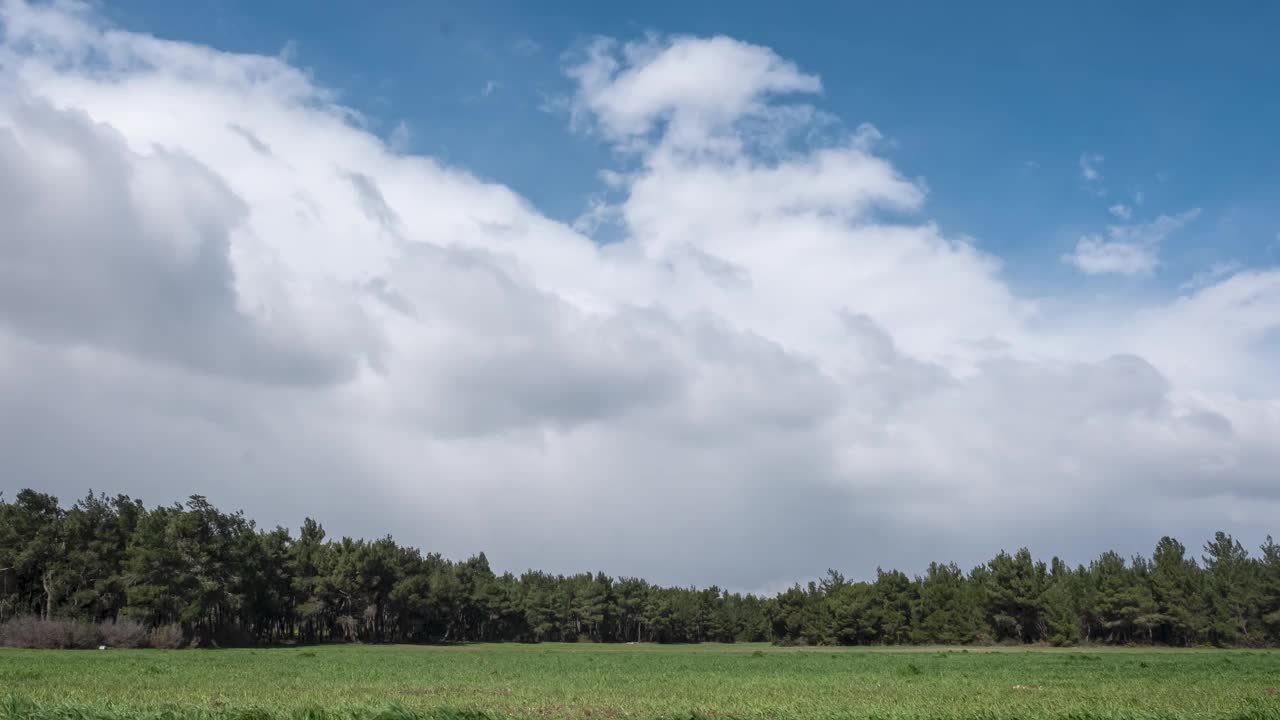 雨前阴天的草地视频素材