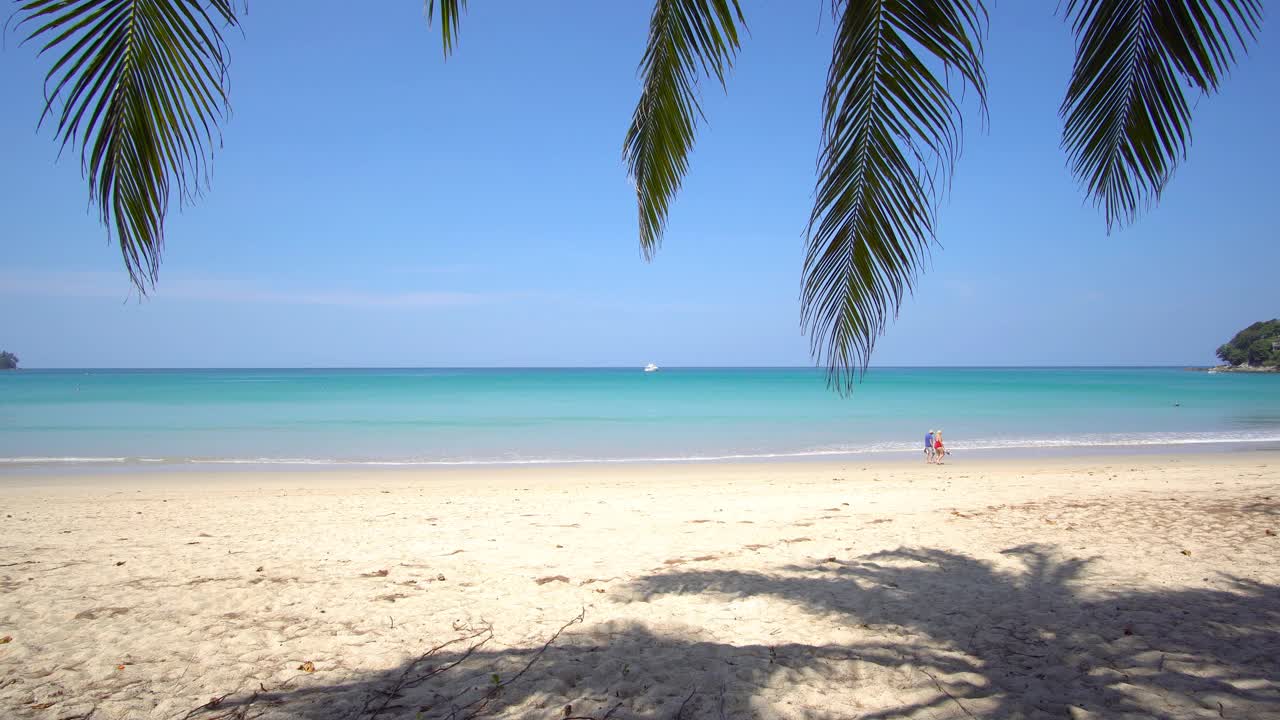 美丽的风景，海滩，大海在阳光明媚的日子。海滩上的棕榈树视频素材