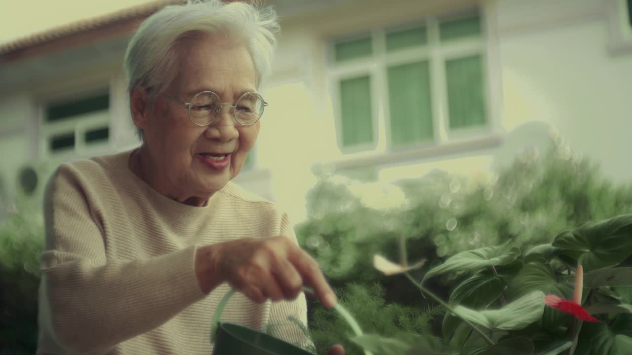 给植物浇水的老妇人视频素材