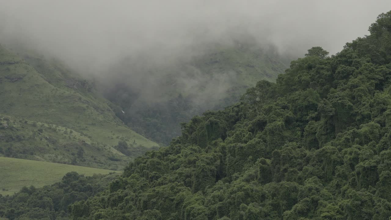 雾漂浮在山上和当地的森林。视频素材