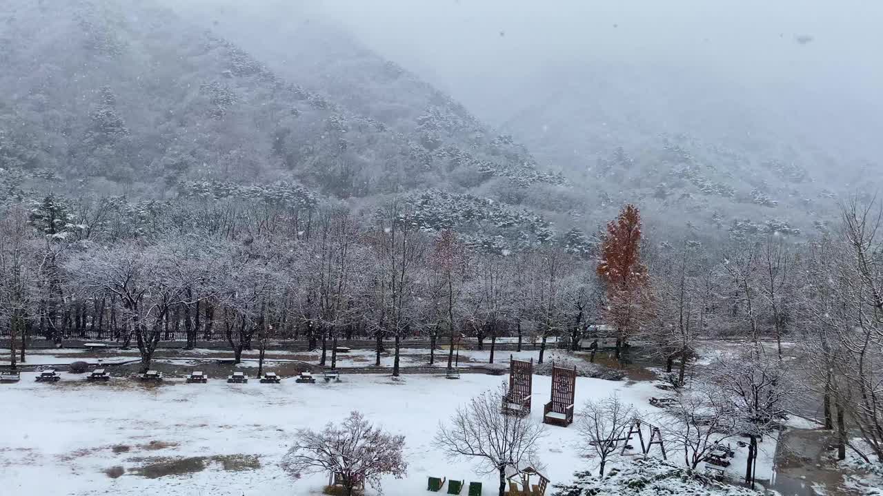 清晨的雪山、道路和公园景色。视频素材