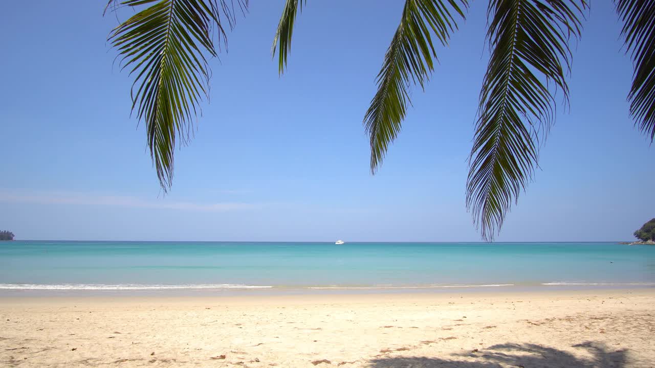 美丽的风景，海滩，大海在阳光明媚的日子。海滩上的棕榈树视频素材