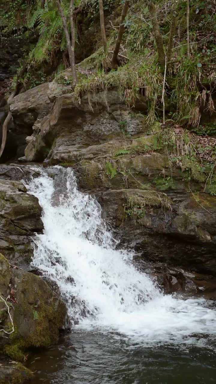 瀑布的垂直视频视频素材