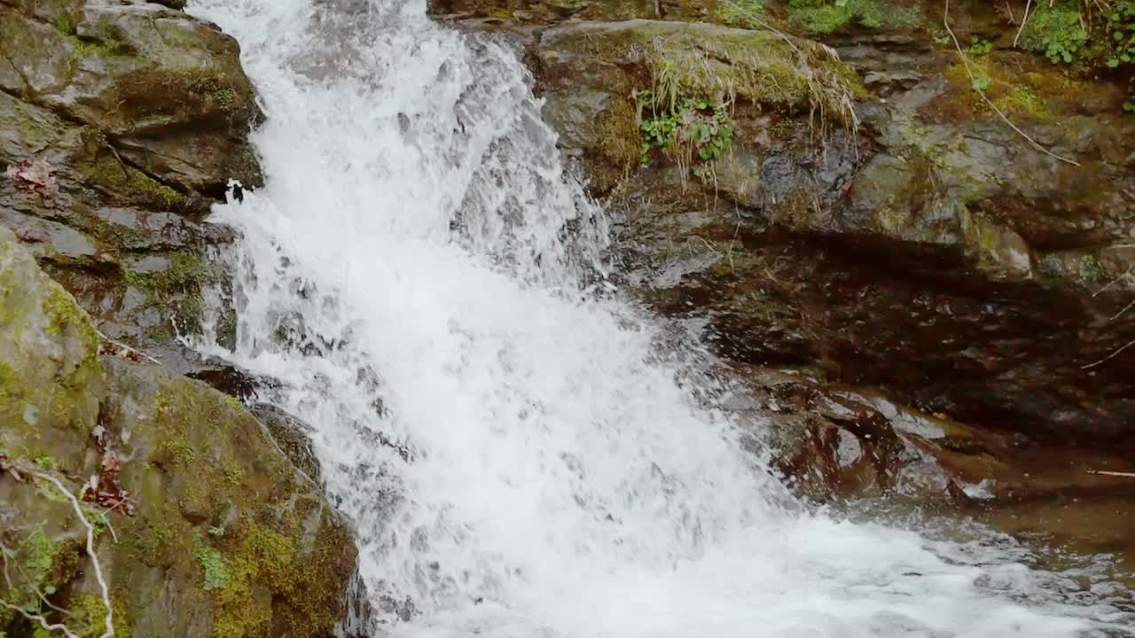 小溪中流动的水视频素材