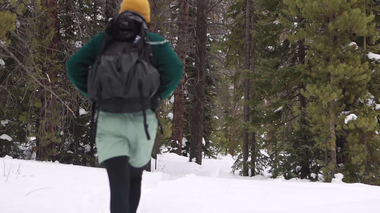 徒步旅行者在松林中穿过暴风雪视频素材