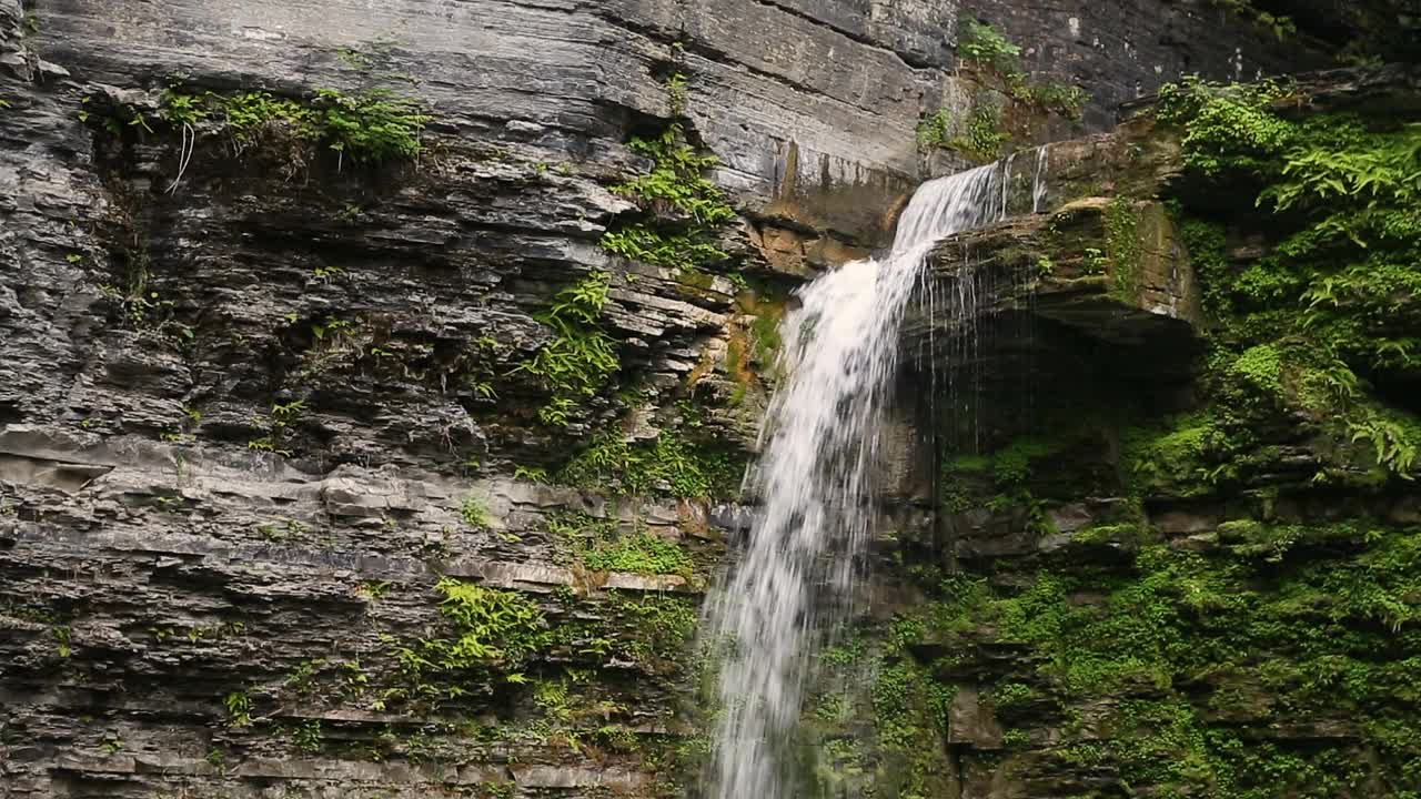 鹰瀑跳水环视频素材