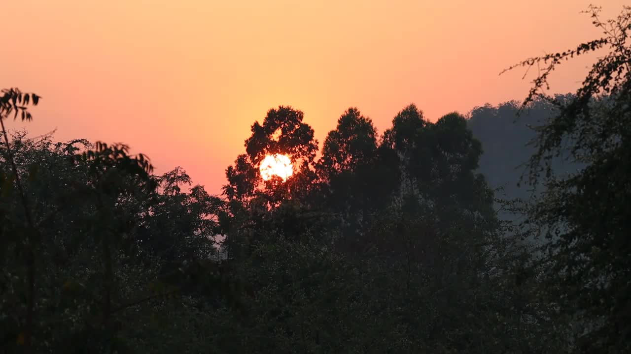 太阳视频素材