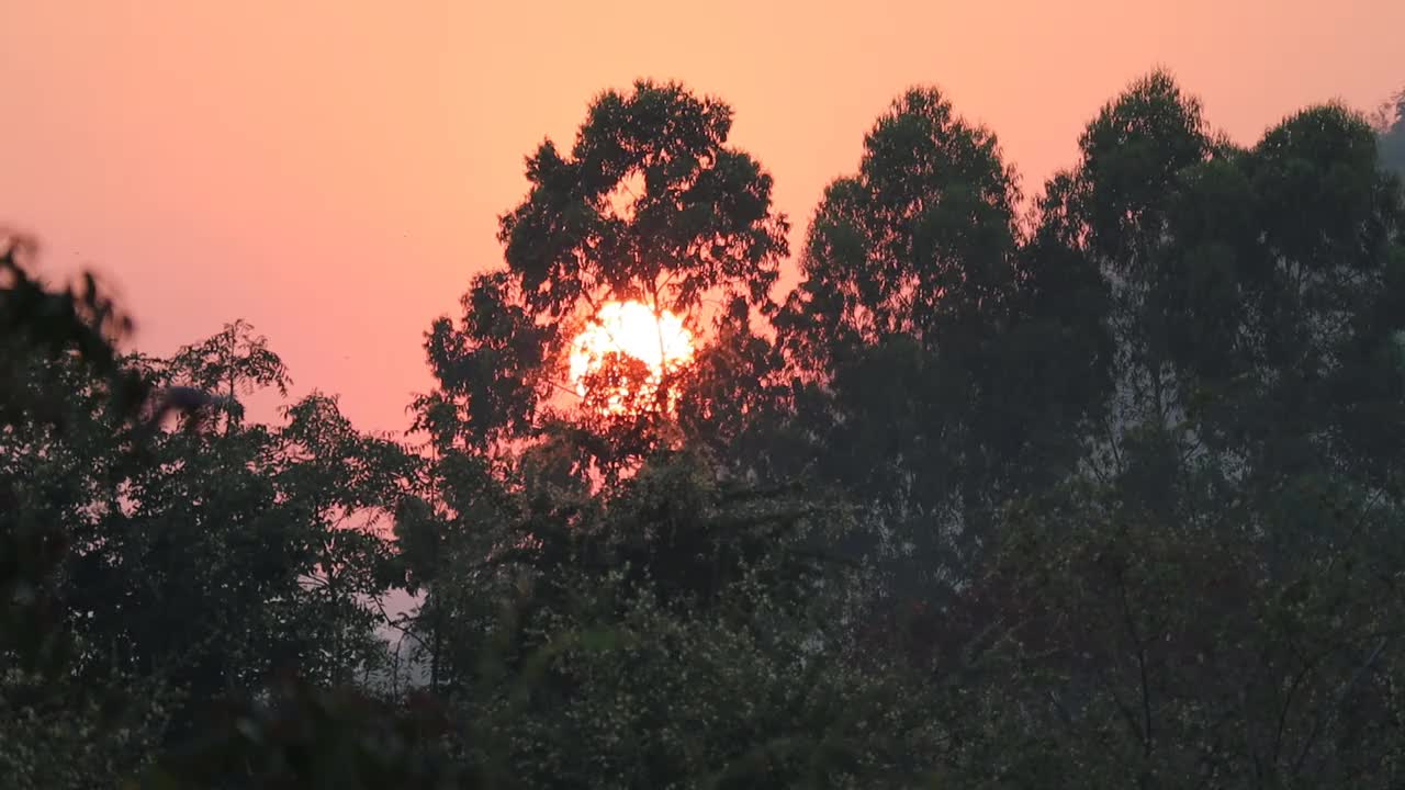 太阳视频素材