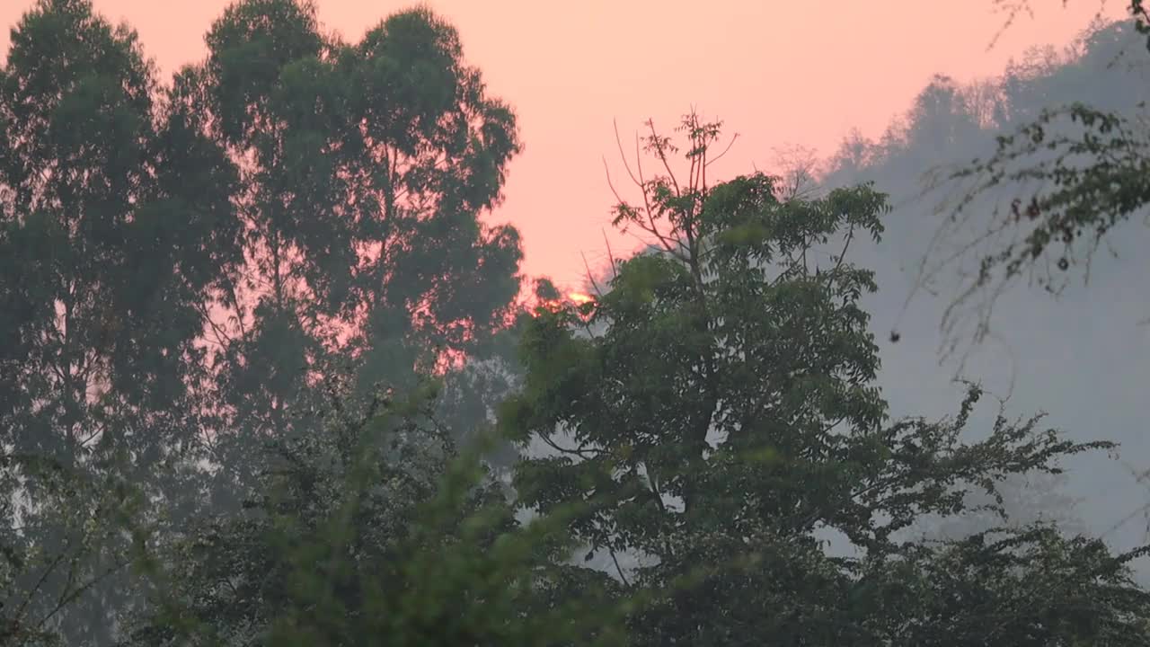 太阳视频下载