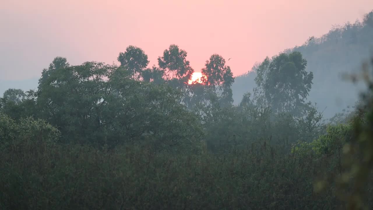 太阳视频下载