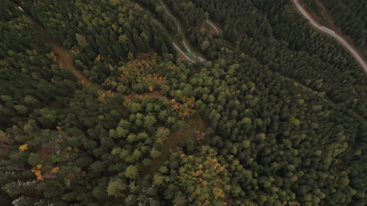 无人机从上往下拍摄被山林树木环绕的狭窄道路视频素材