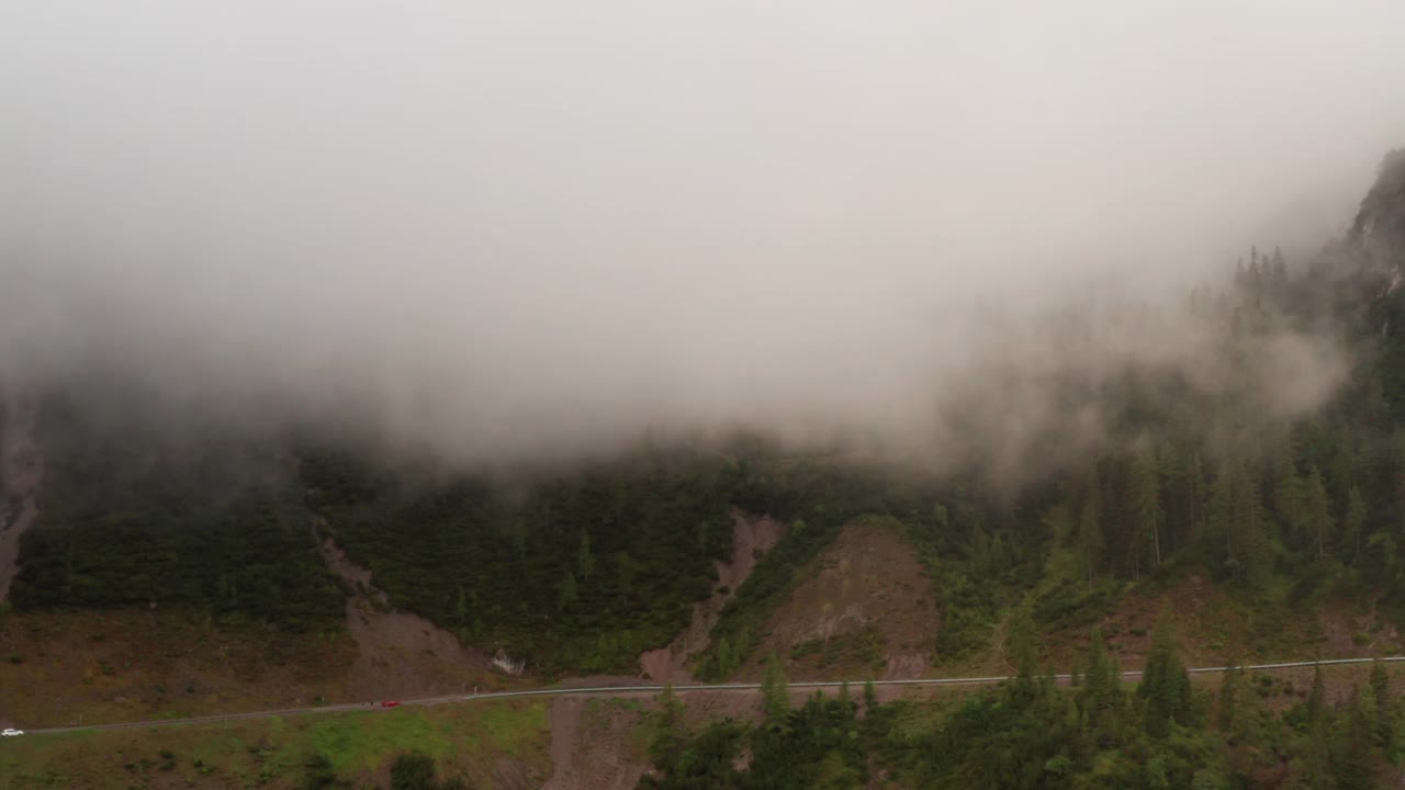 多山的森林，有一窄杆和雾覆盖冷杉树视频素材