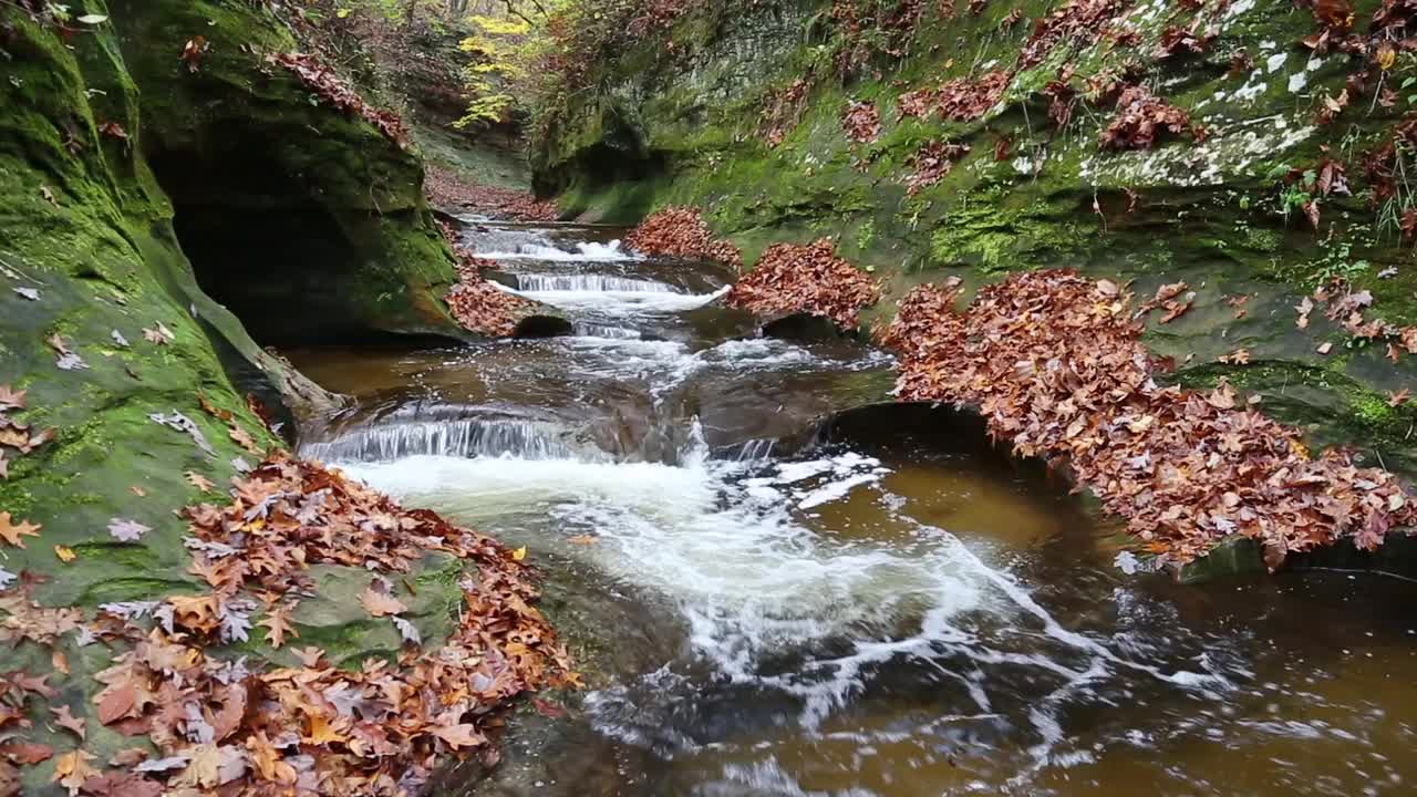 Fall Creek峡谷在Autumn Loop视频素材