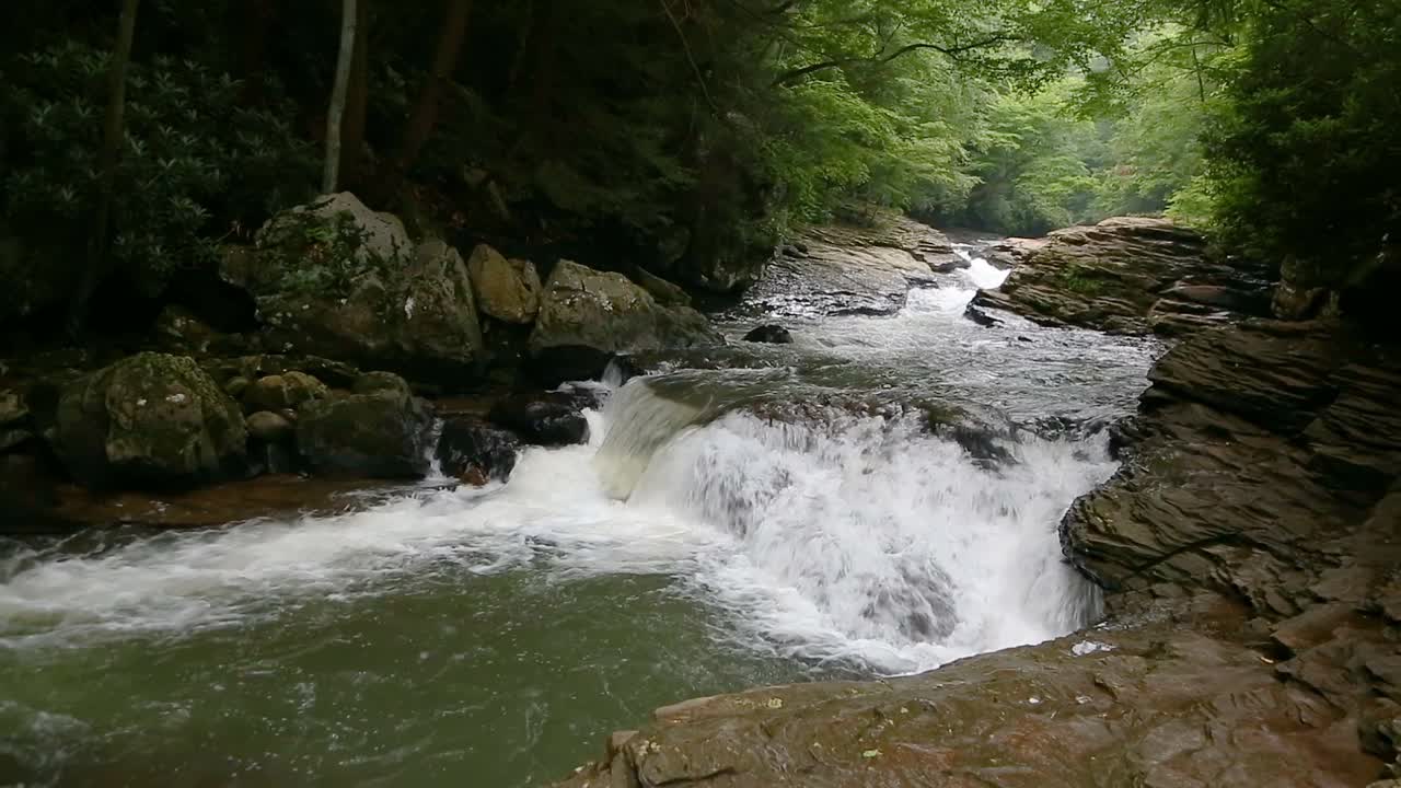 草地循环上的白水视频素材