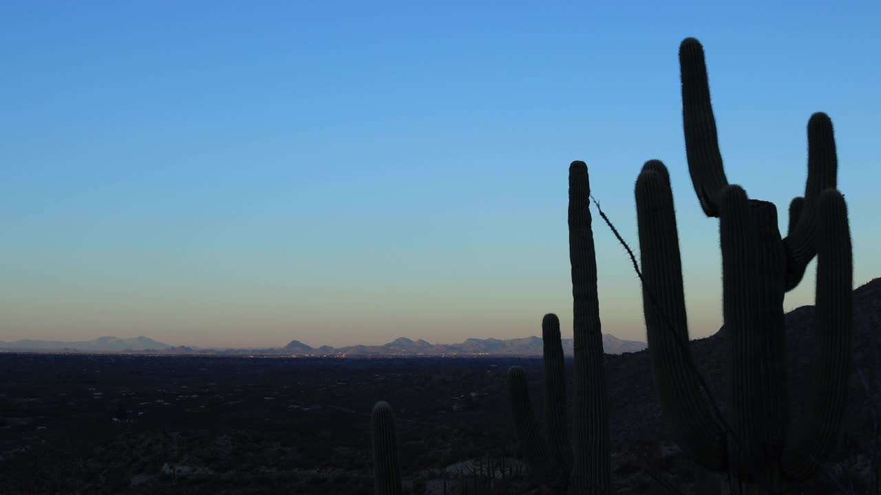 Tucson, Arizona和Tanque Verde Valley - Saguaro仙人掌-日出延时视频素材