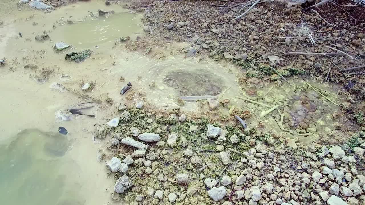 新西兰的罗托鲁阿硫磺湖视频素材