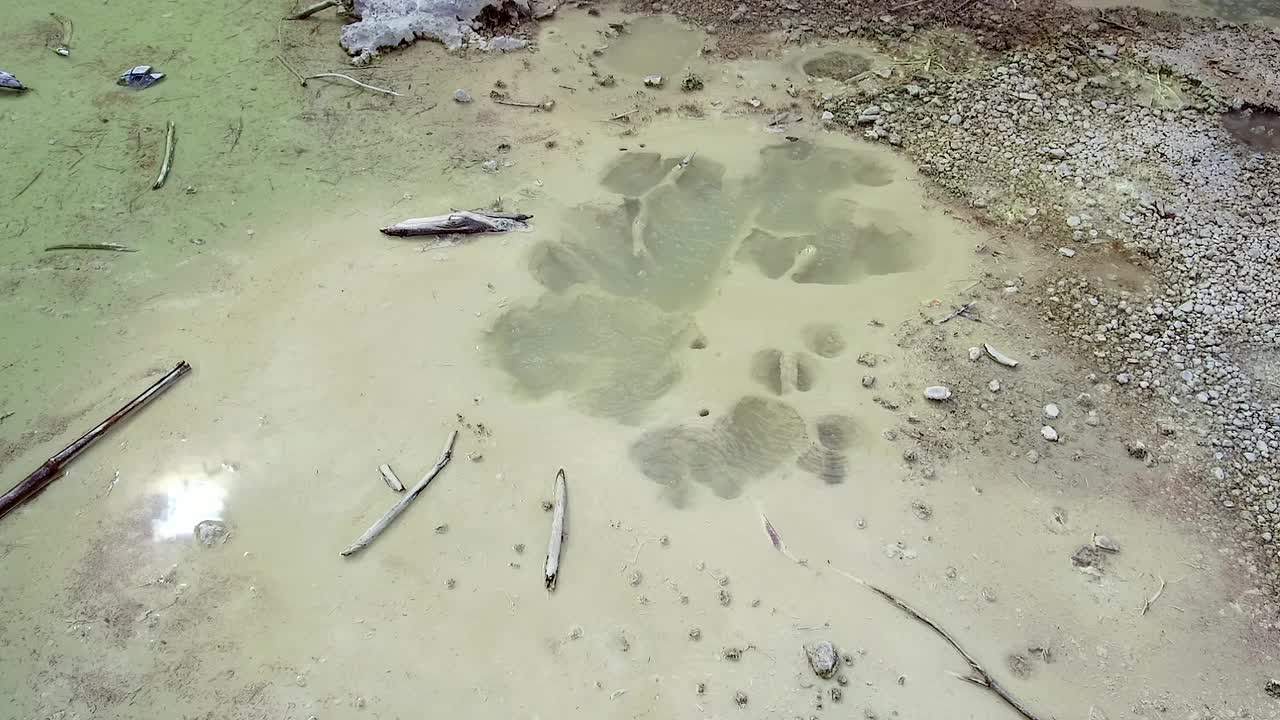 新西兰的罗托鲁阿硫磺湖视频素材