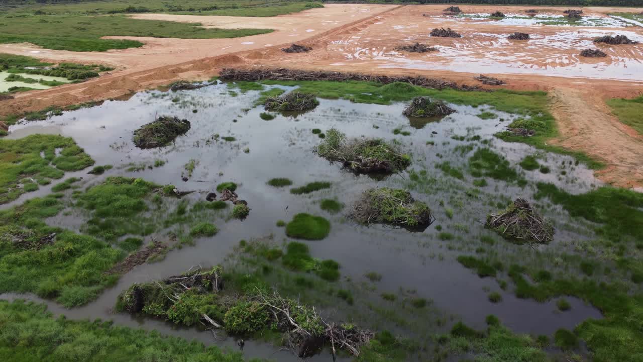 油棕清理后的泥泞土地视频素材