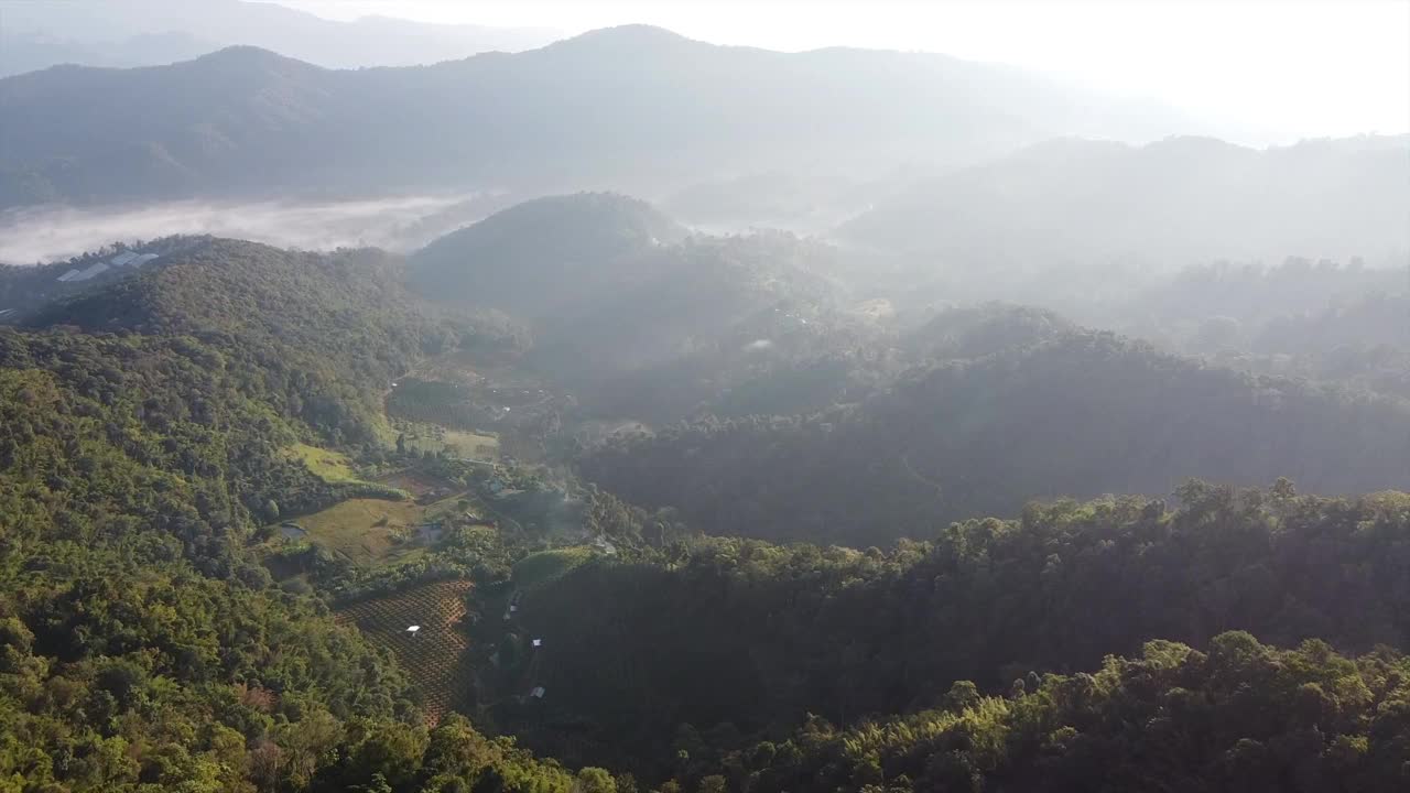 空中景观的绿化，雨林和山在雾天由无人机视频素材