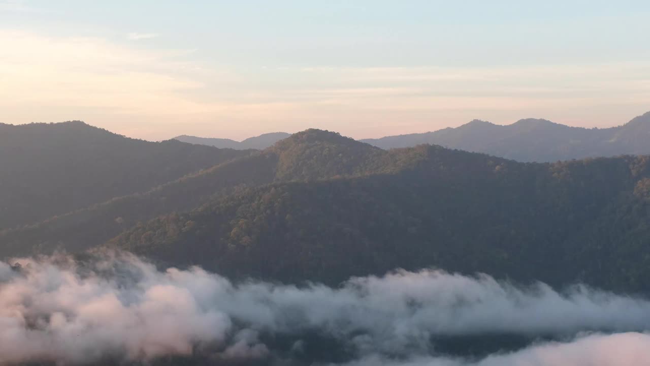 景观绿化，热带雨林和小山与雾海视频素材