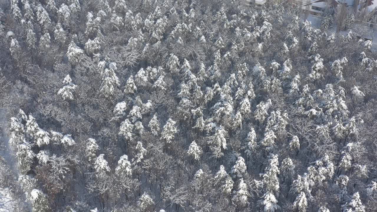 上图为12月积雪森林4K航拍视频视频素材