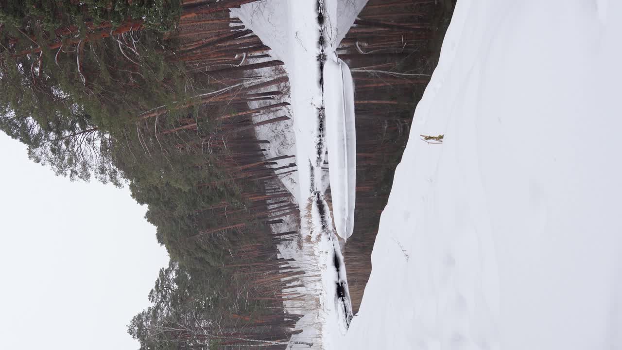 冬天雪多，森林河景。有雪树的景观。垂直视频视频素材