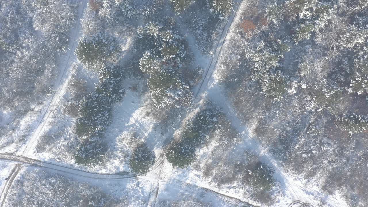 晨雾由冬季清晨的森林4K航拍视频视频素材