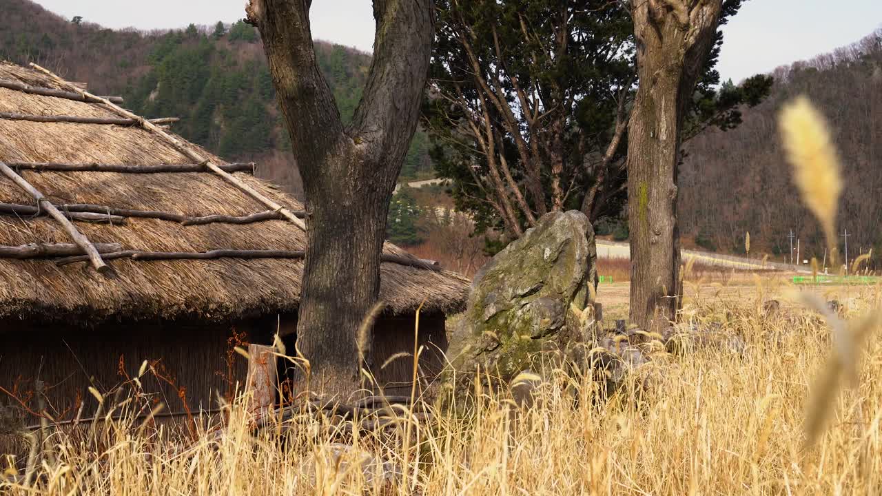 韩国Ulleungdo的传统茅草屋视频下载