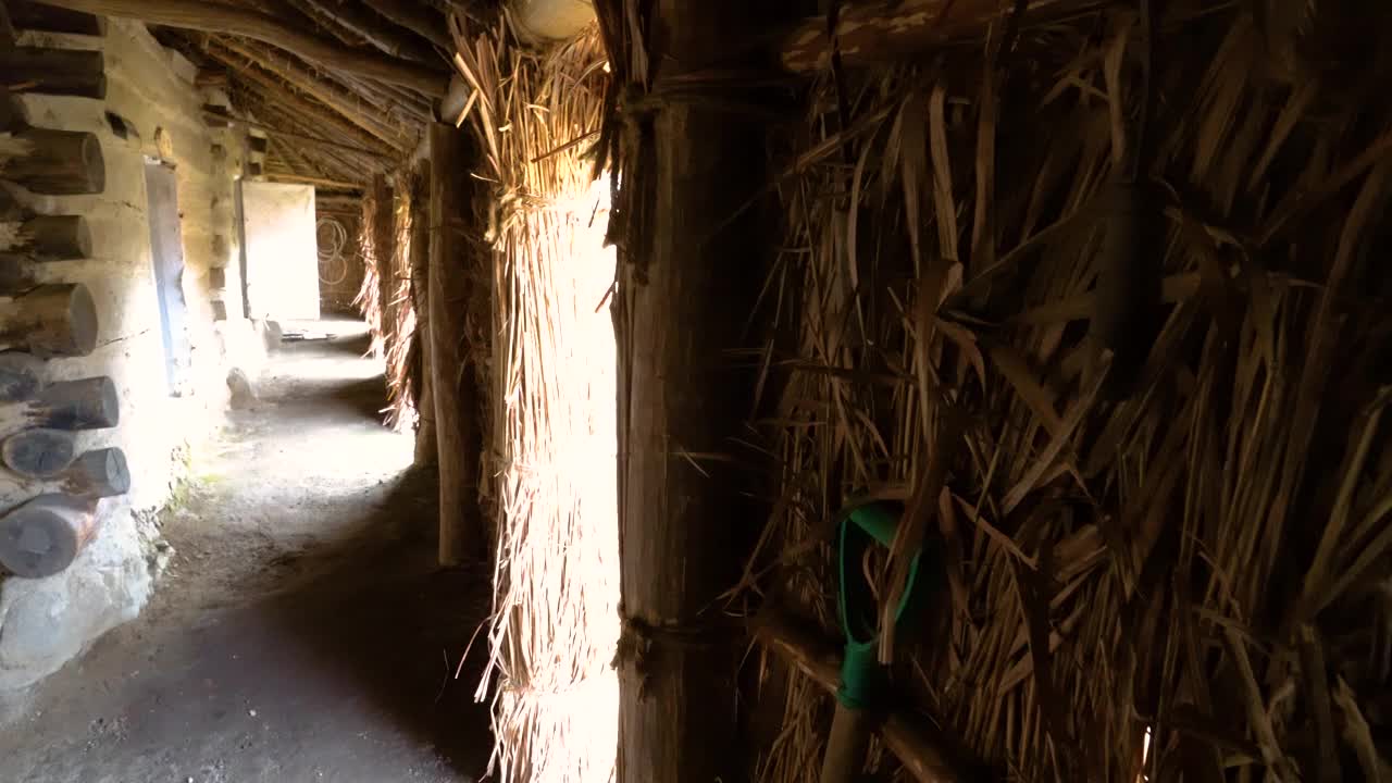 韩国Ulleungdo的传统茅草屋视频素材