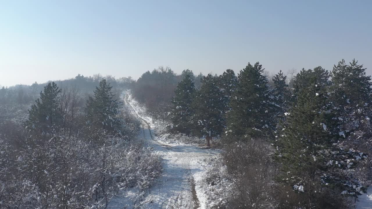 下了4K空中拍摄的雪花后在树林里的小路上降落视频素材