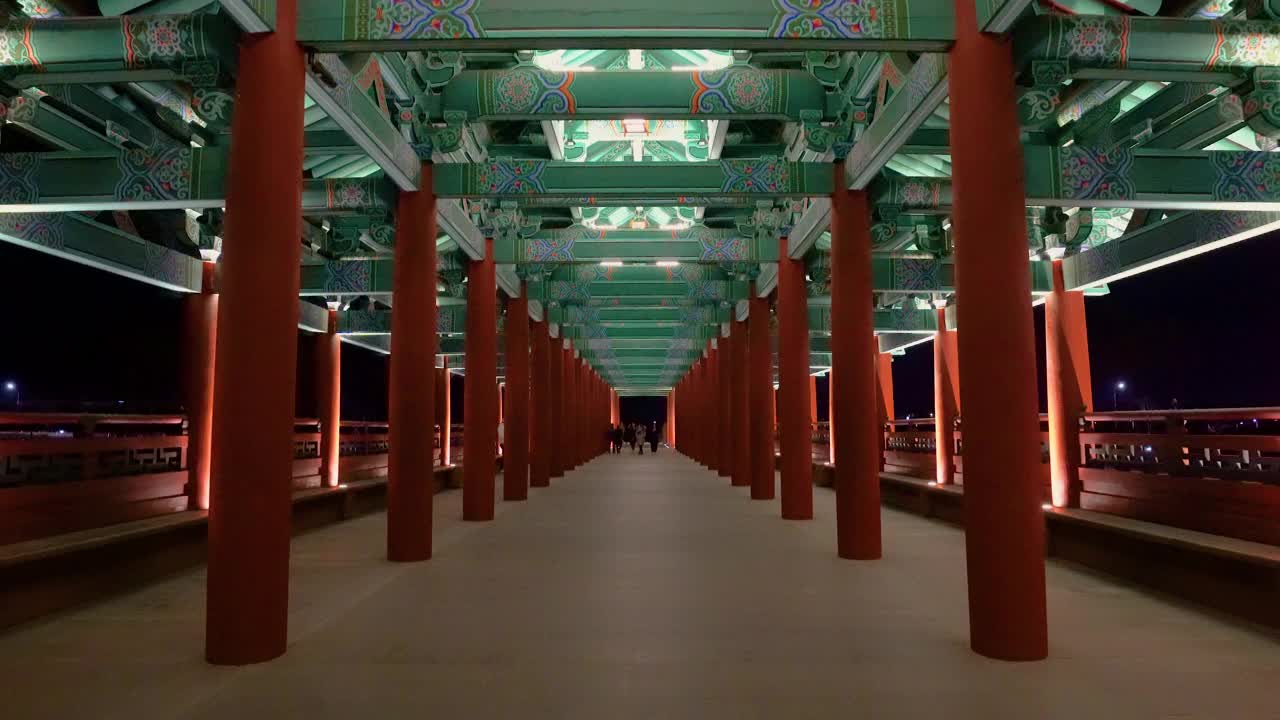 韩国庆州市Woljeonggyo大桥夜景。视频素材