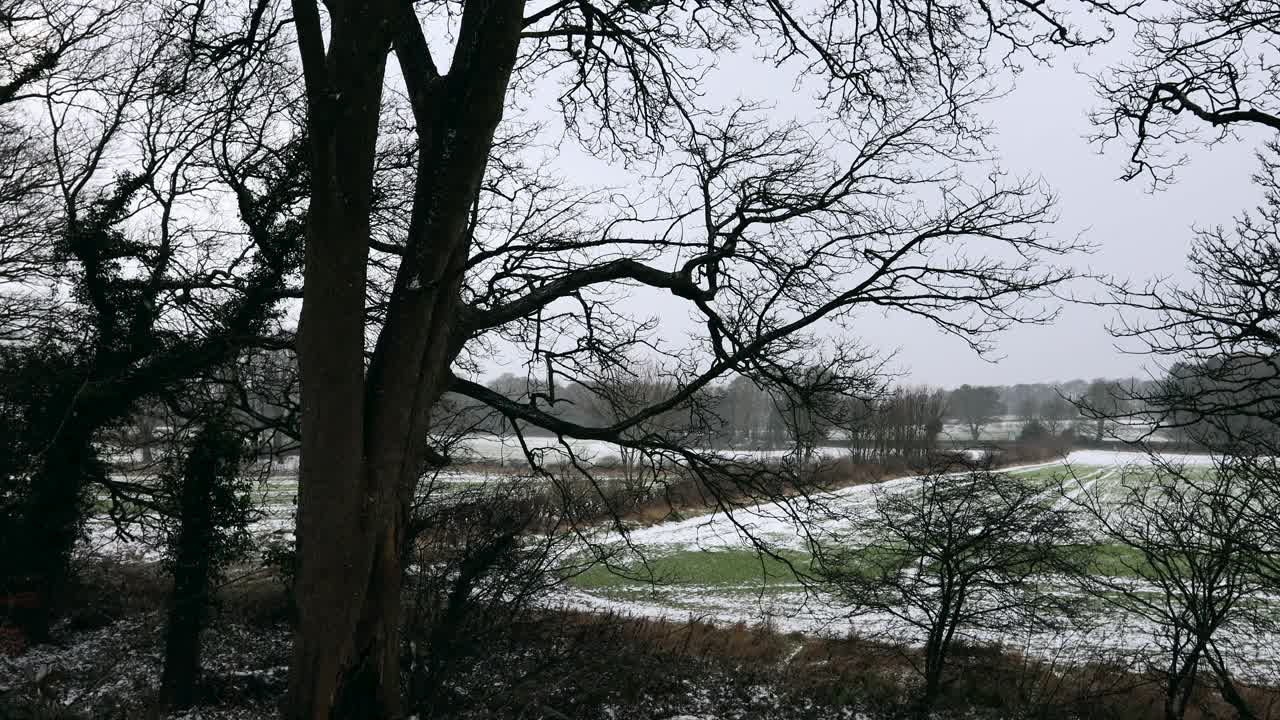 英格兰东北部(纽本)的农田和乡村，在暴风雪期间视频素材