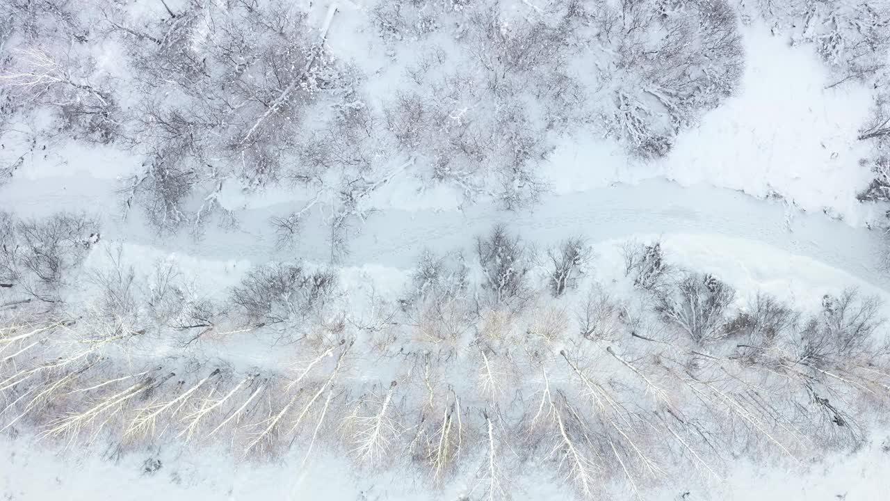 飞过冬天结冰的小河视频素材