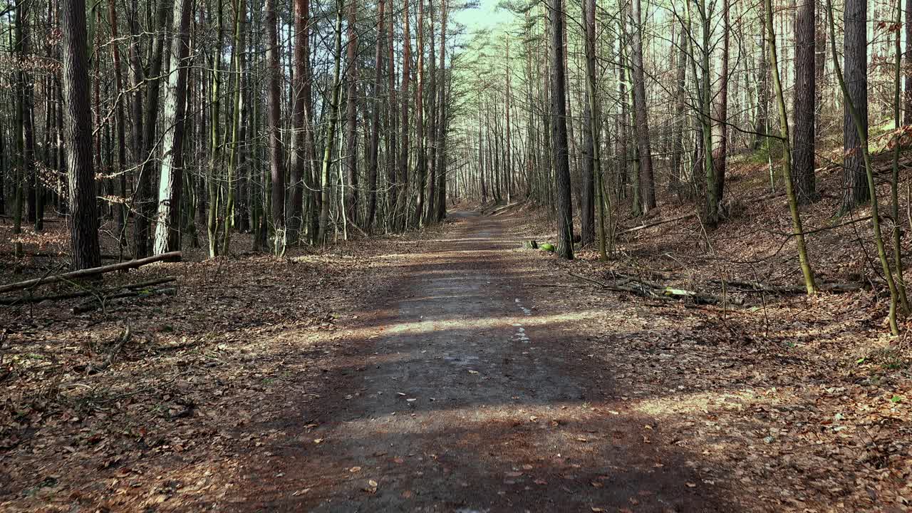 地面道路通过秋天春天森林覆盖棕色枯萎的叶子推进视频素材