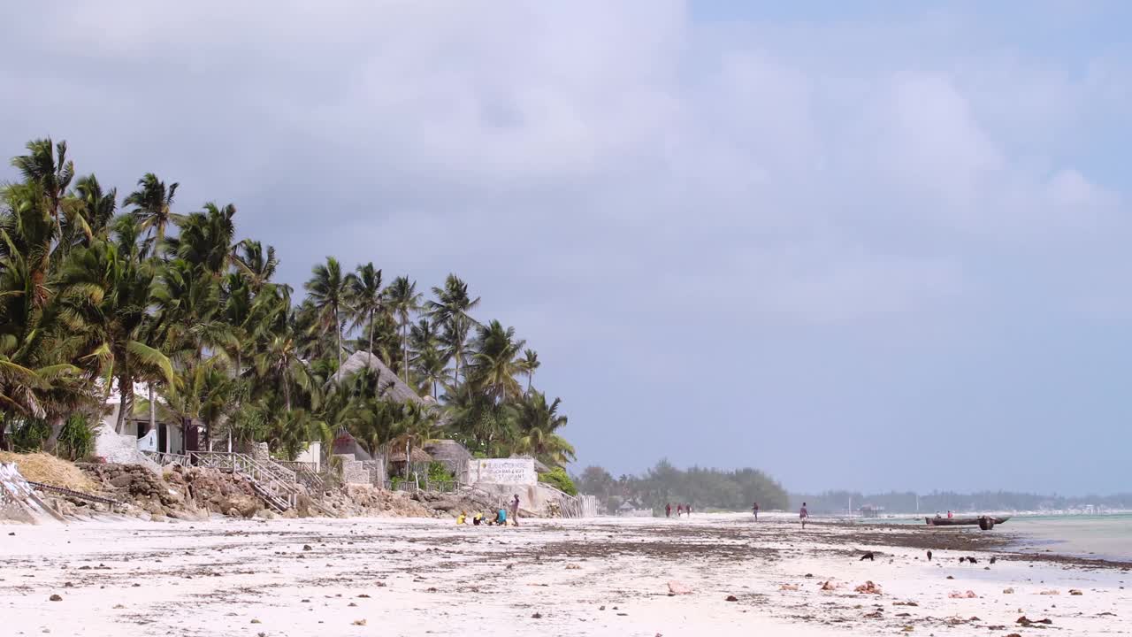 杰米亚尼海滩的全景与白色的沙子和棕榈树由退潮。乡村生活，热带气候。桑给巴尔岛。视频素材