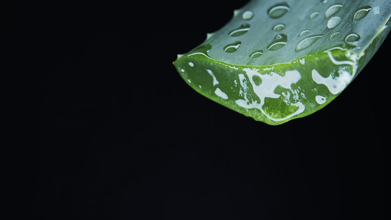 芦荟叶特写上的黑色背景。视频素材