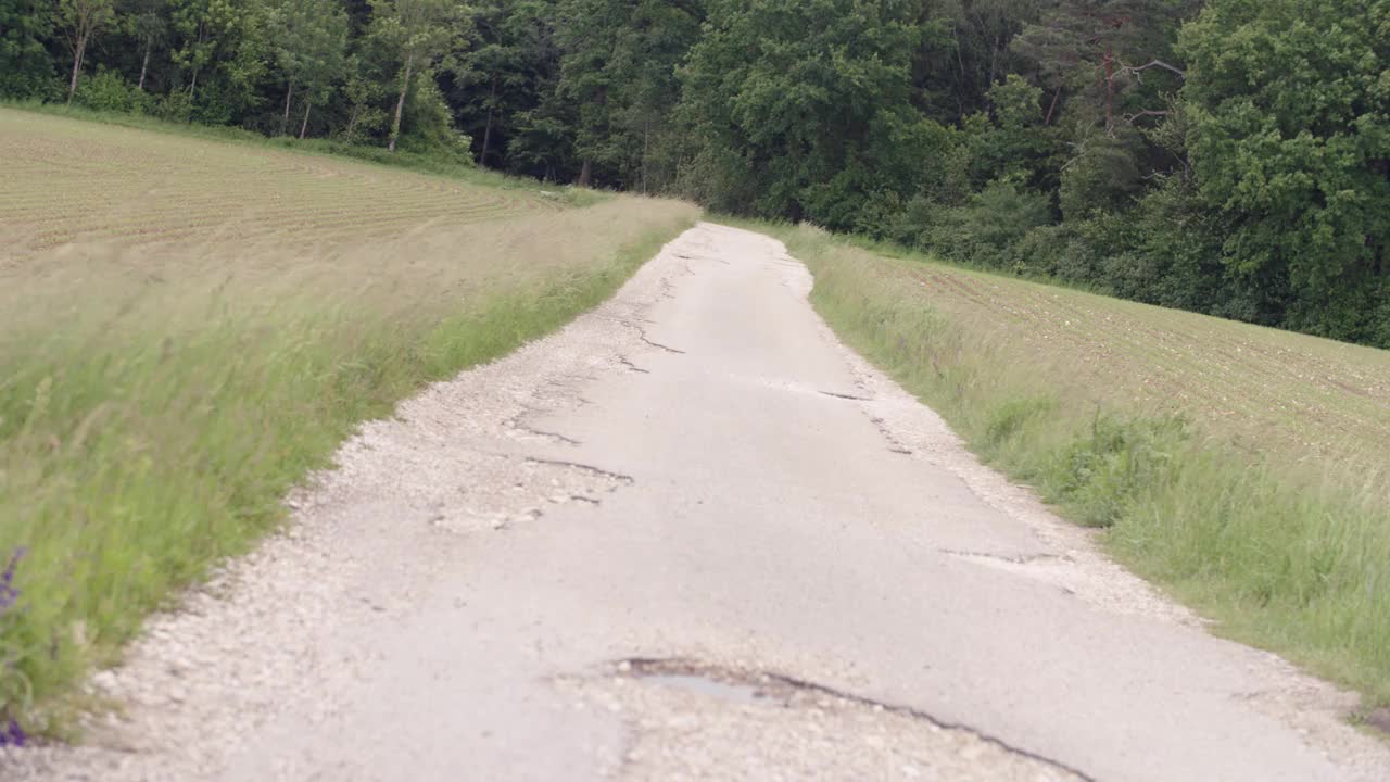 以交通和森林为背景的公路视频素材