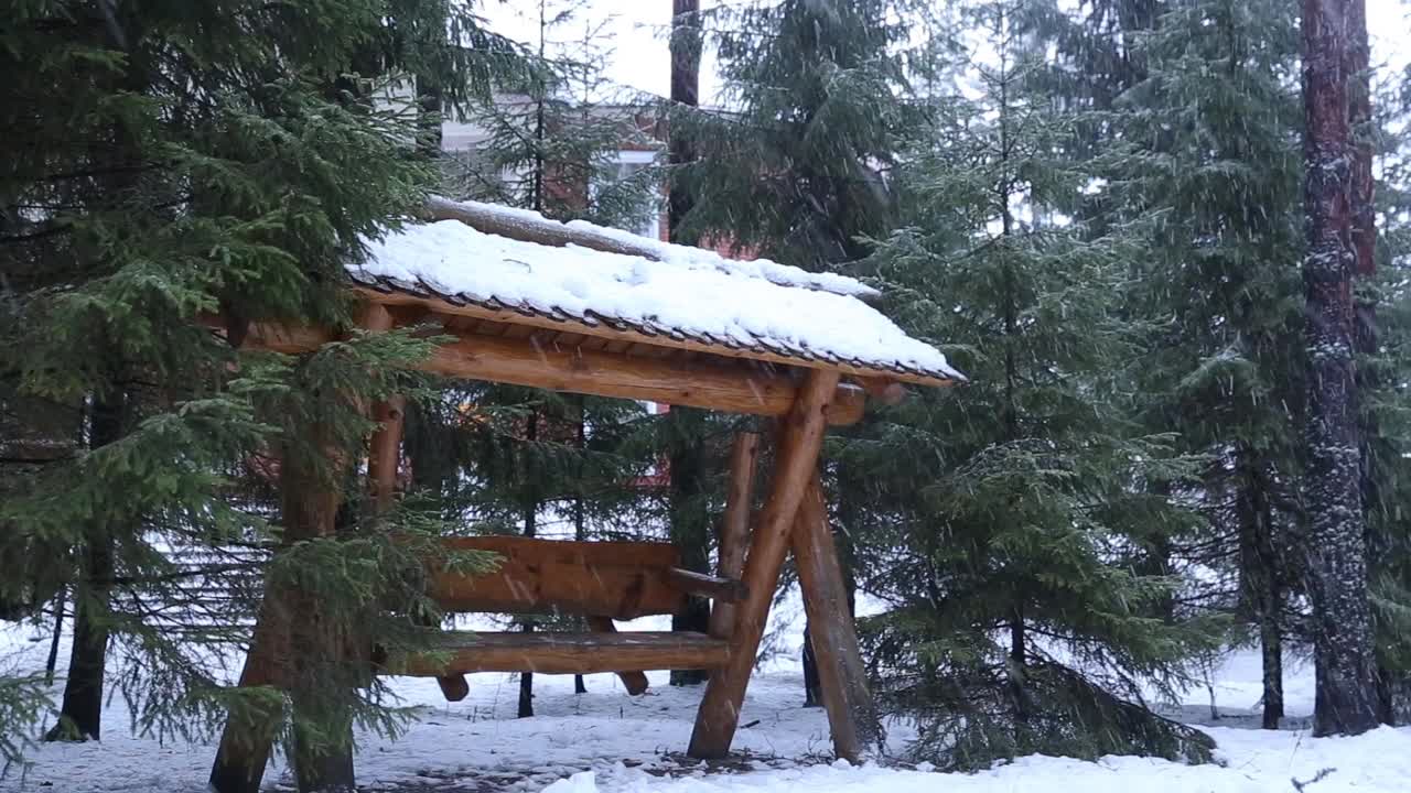 在冬天下雪的时候，公园里的空木秋千上有常青树视频素材