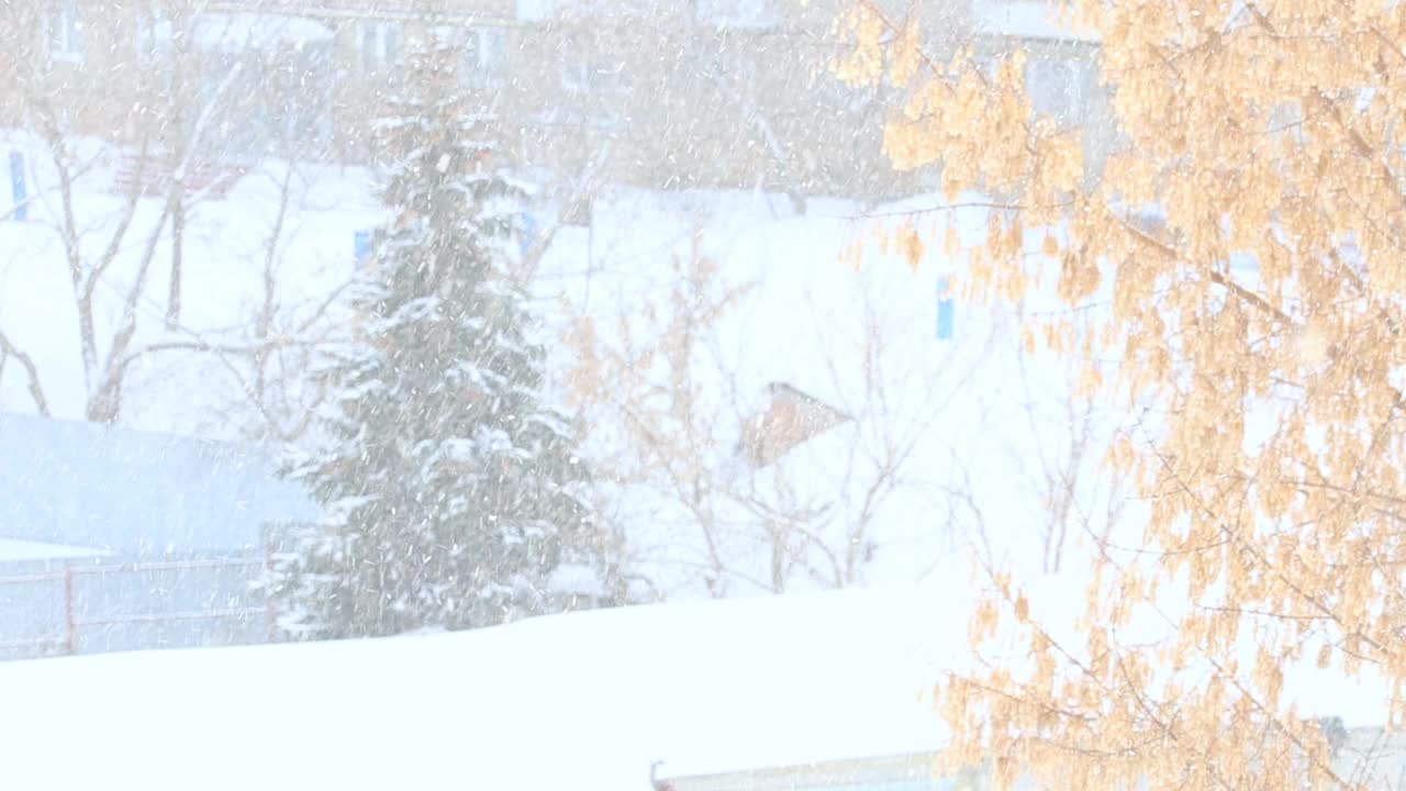 人们走在路上在恶劣的天气在雪暴风雪雪在城市。雪花在云杉的背景下盘旋，在寒冷的冬天能见度很低视频素材