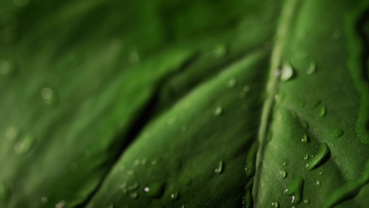 雨滴顺着绿色的床单流下来。慢动作视频视频素材