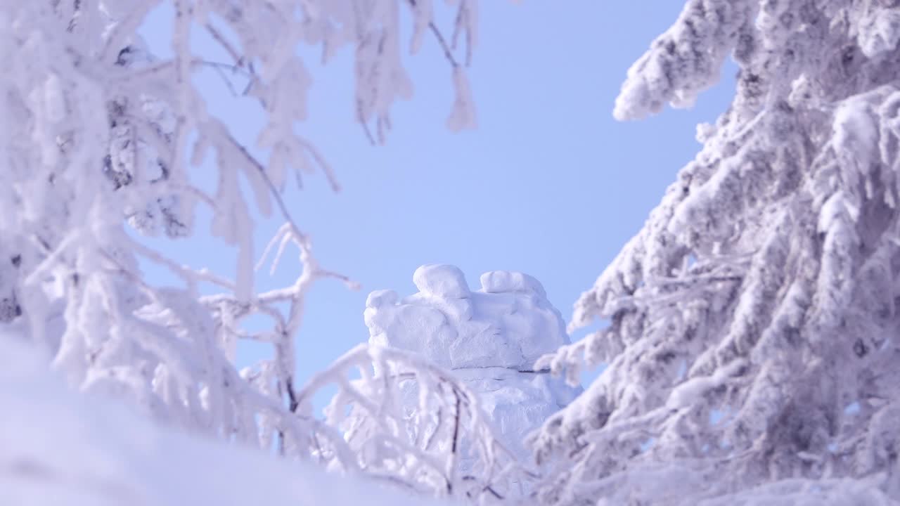 透过白雪皑皑的云杉枝桠，俯瞰山顶。蓝天下的岩石上结满了霜。微风吹动冬天树木的树干。悬崖上覆盖着厚厚的一层冰视频素材