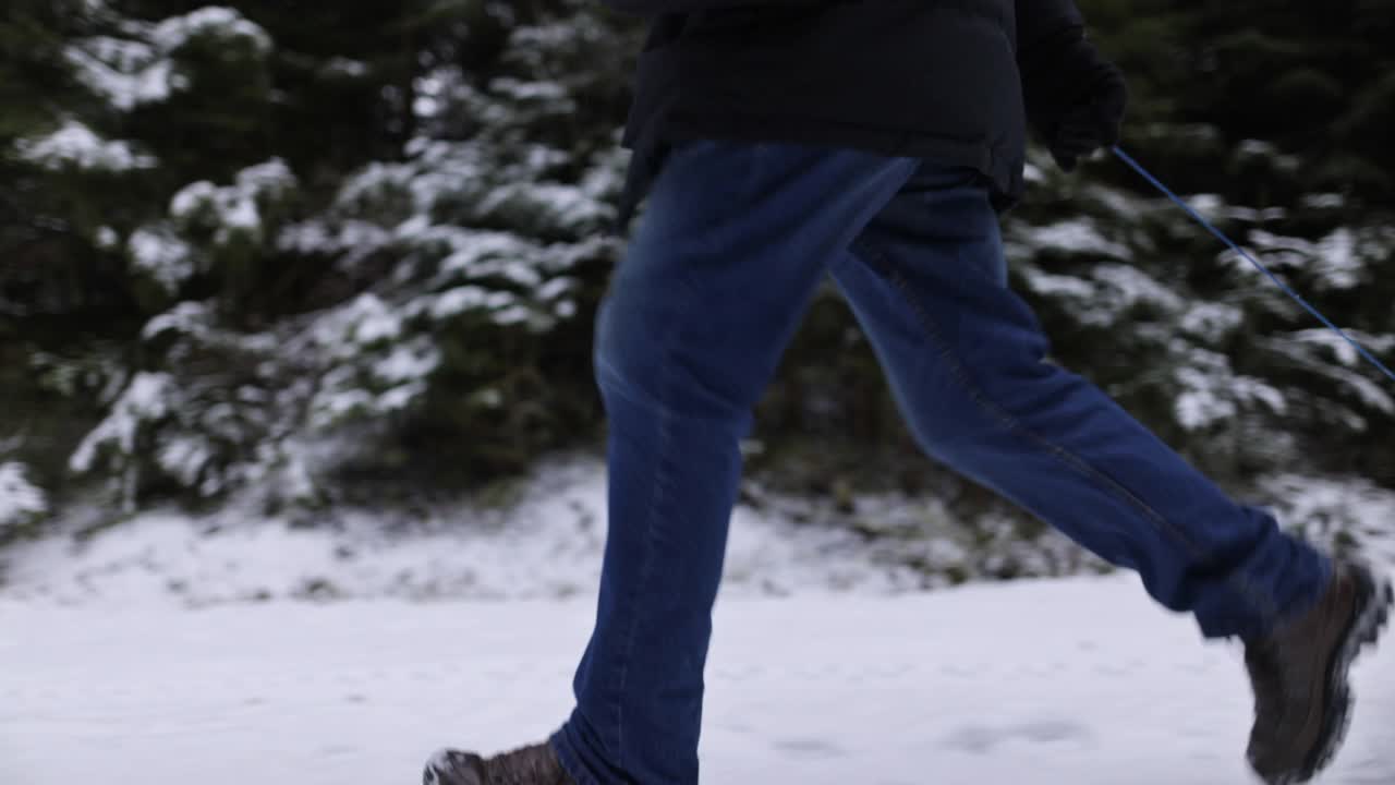 在冬天的森林里，爷爷拉着雪橇带着两个孩子。视频素材